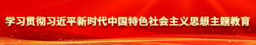 大吊男操小穴视频学习贯彻习近平新时代中国特色社会主义思想主题教育